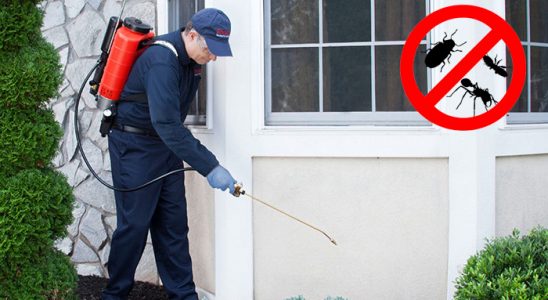 Yıldızeli Gümüşkurt İlaçlama böcek ilaçlama ve haşere kontrolü — ilaclama-tr.com